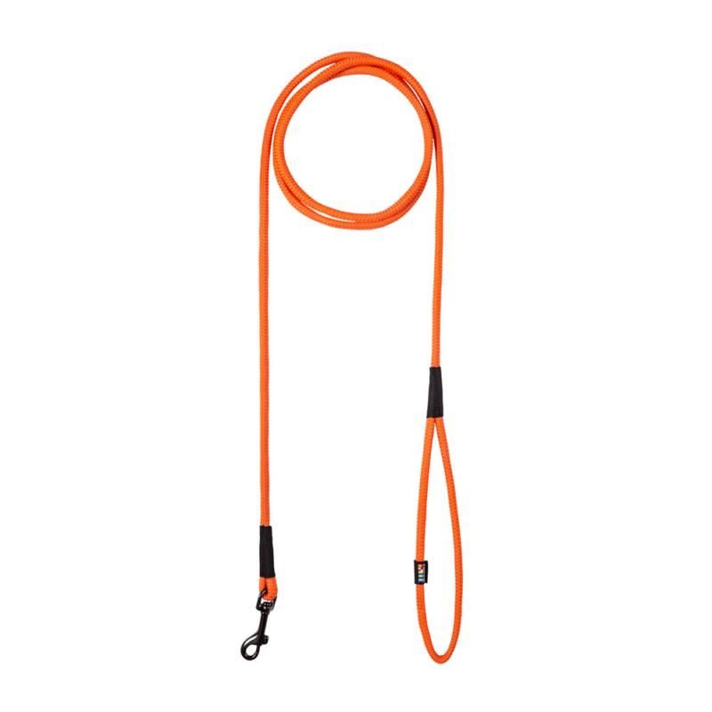 Floating dog sale swim leash