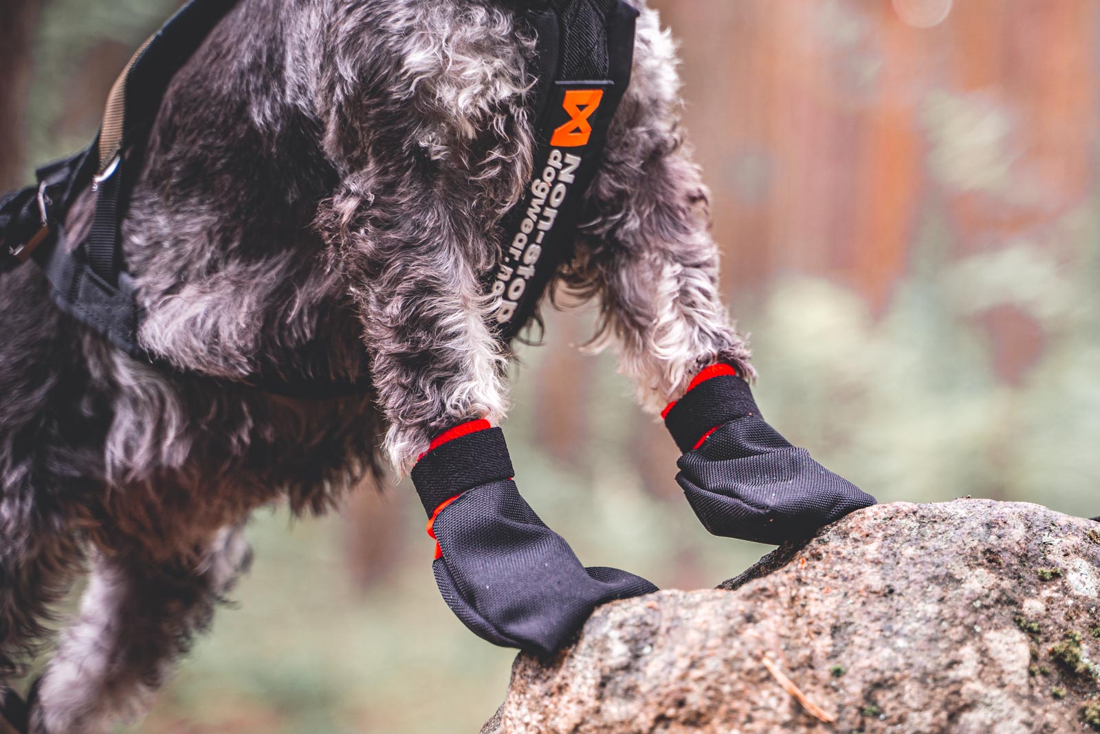 Solid Socks 4pk Non stop dogwear Mountain Dog UK