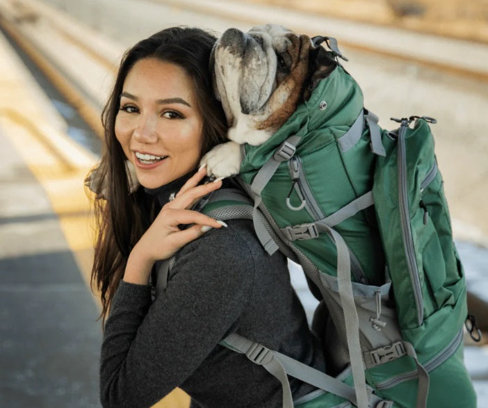 Choosing a K9 Sport Sack Carrier