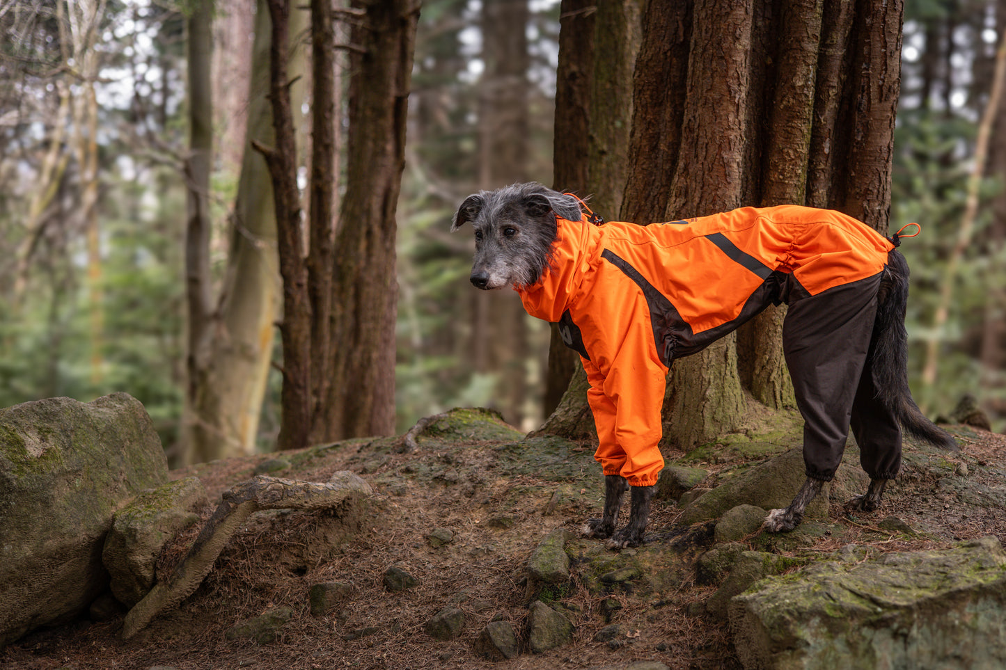 Non-stop - Fjord Overall Raincoat