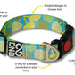 DNA - Artist Series - Collar in Coastal Flock