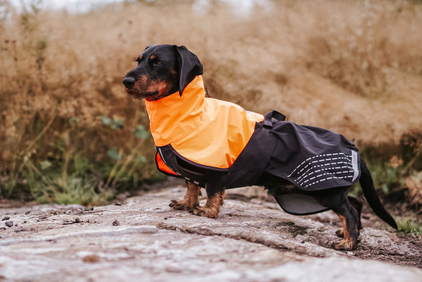 Non-stop - Fjord Jacket