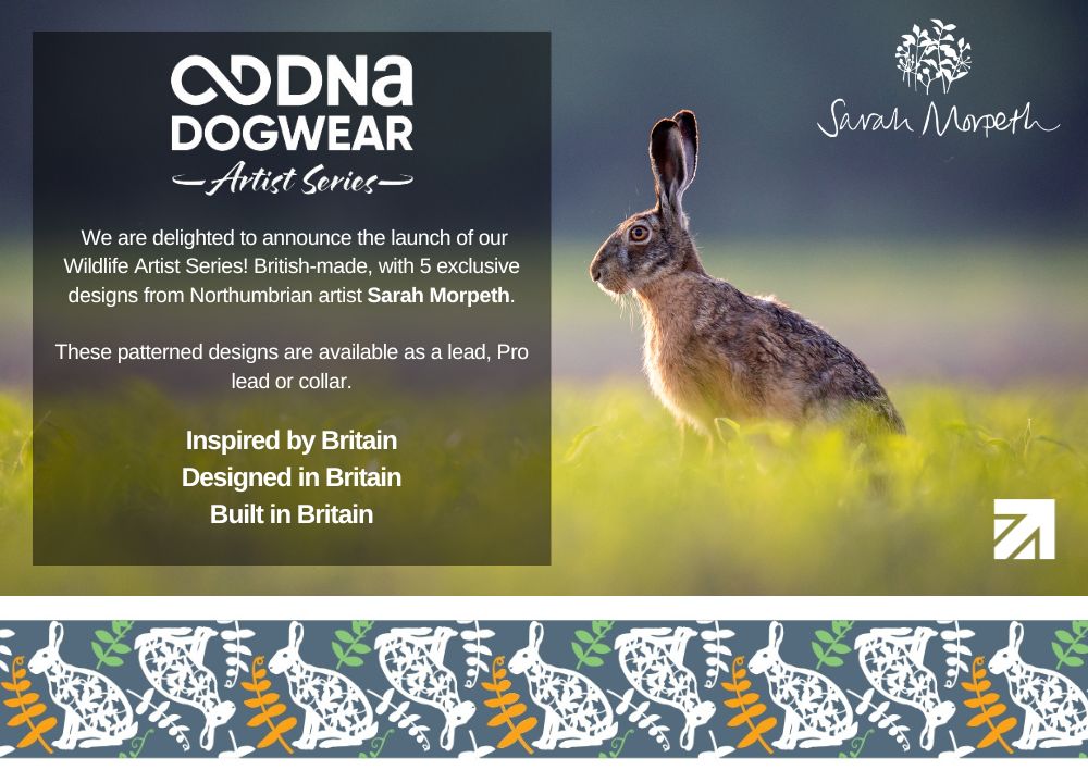 DNA - Artist Wildlife Lead - Harwood Hare