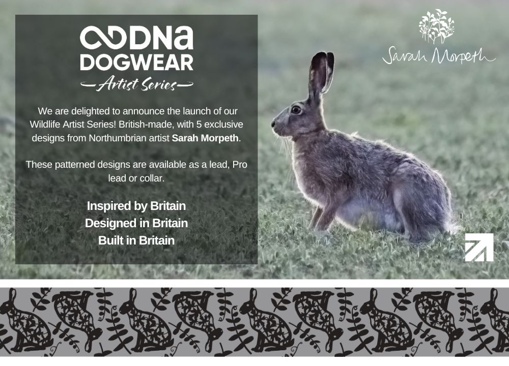 DNA - Artist Wildlife Lead - Moorland Hare