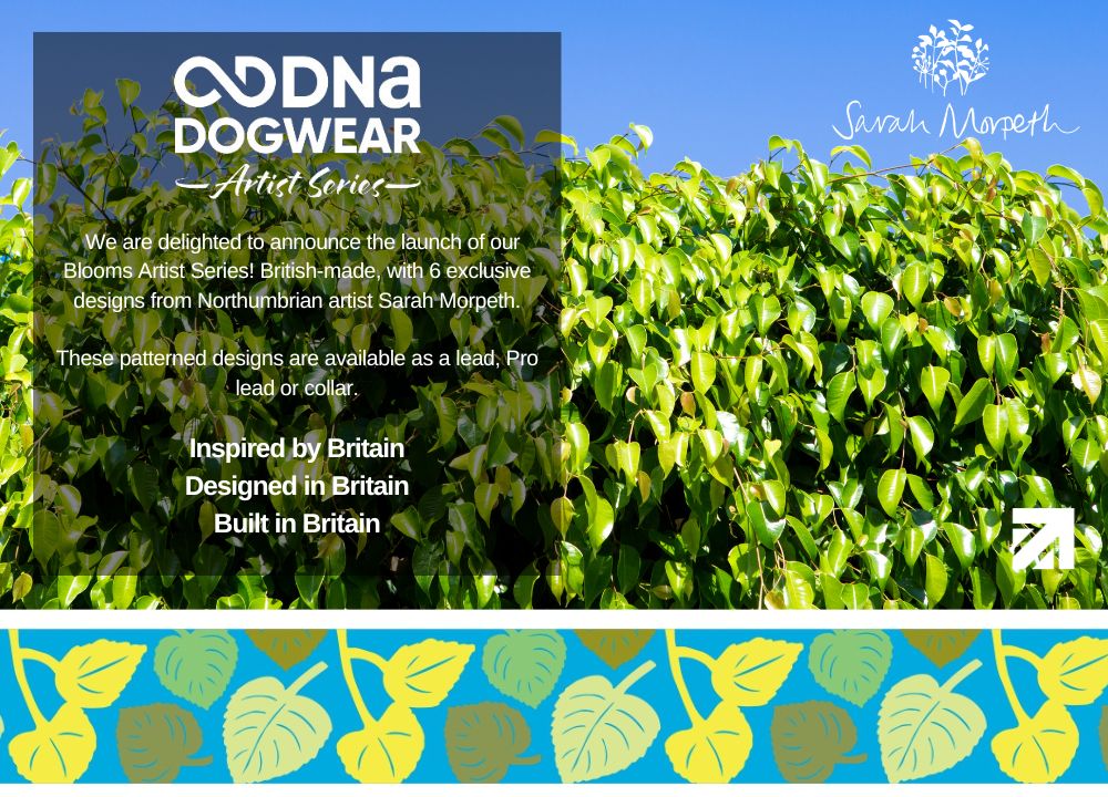 DNA - Artist Blooms Pro Collar in Summer Hedgerow