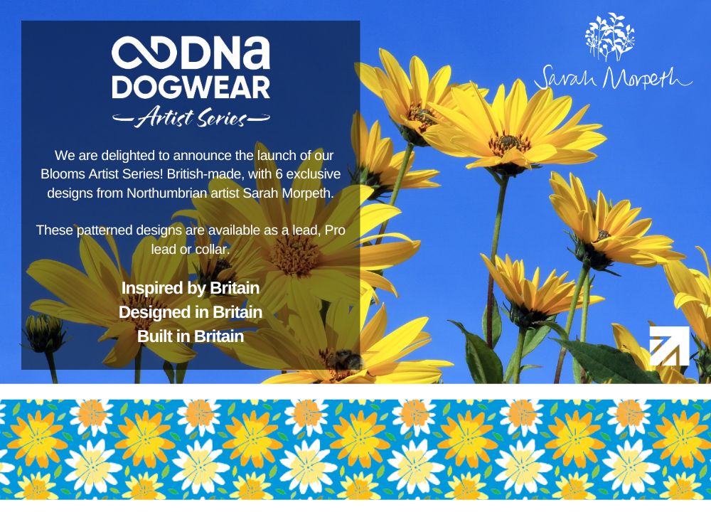 DNA - Artist Blooms Pro Collar - Sunny Bloom