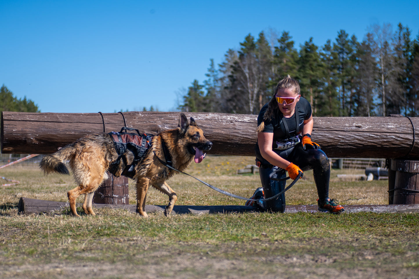 Non-stop - Rock Harness Long