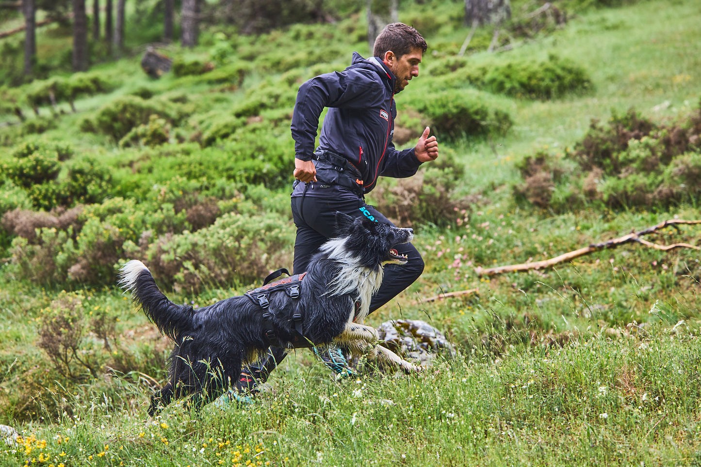 Non-stop - Rock Harness Long