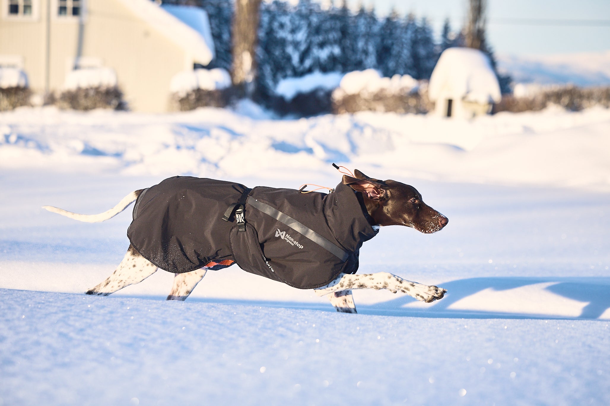 Trekking Insulated Dog Jacket Non stop Dogwear Mountain Dog UK