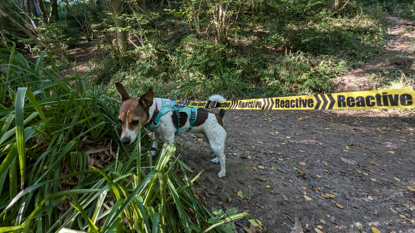 DNA - Summit Signs - Behaviour Alert Pro Lead