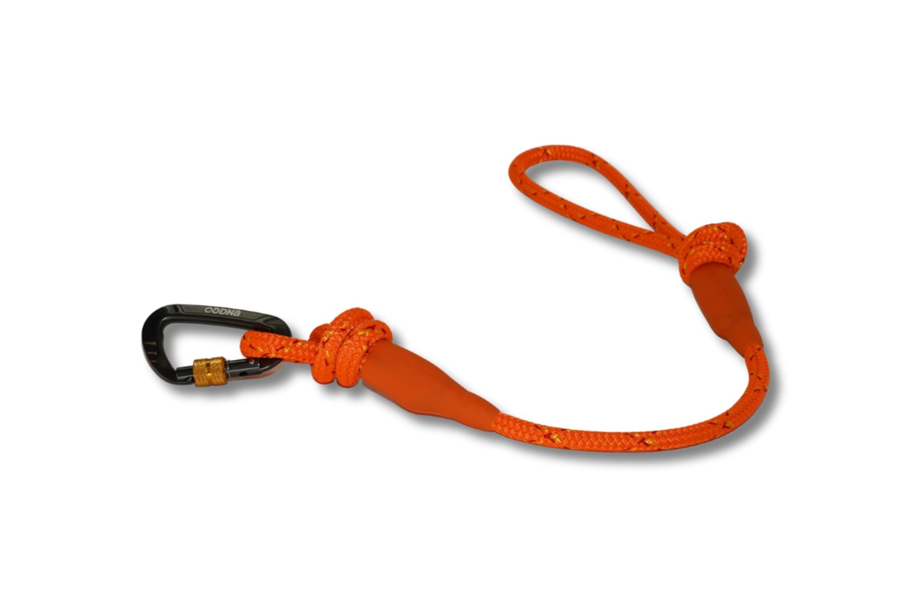 Dog best sale lead carabiner