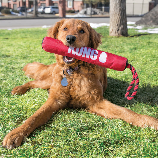 KONG - Signature Stick with Rope