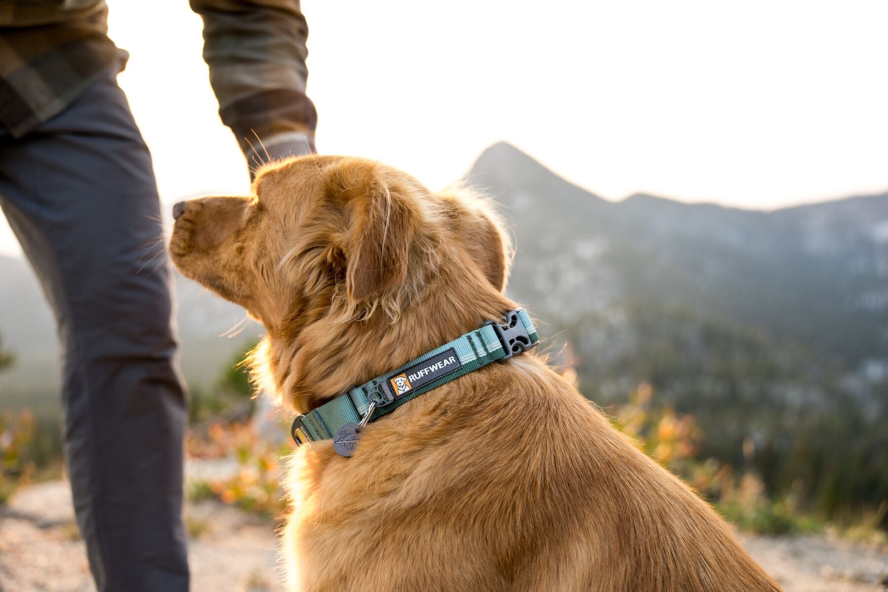 Ruffwear chain clearance reaction dog collar