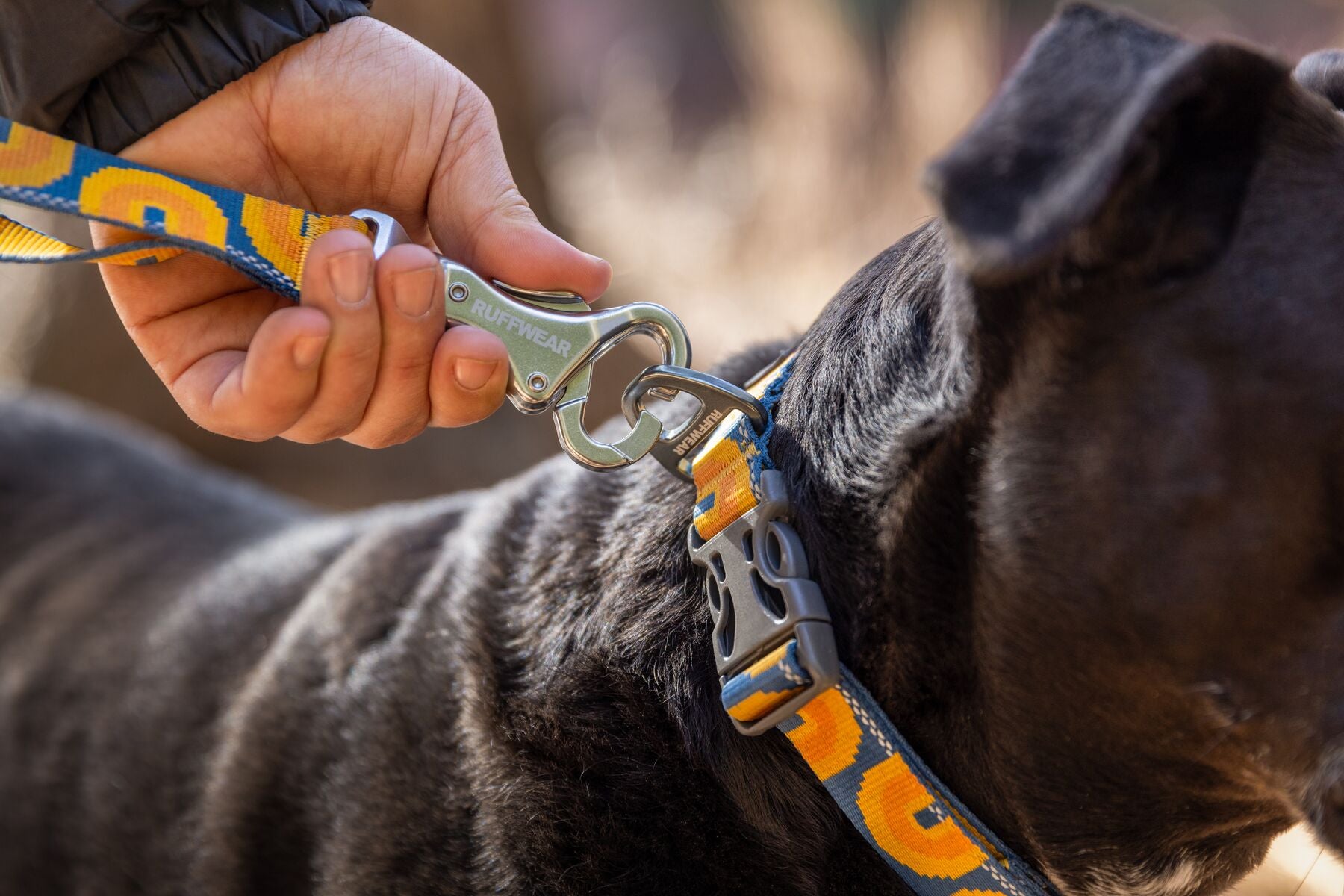 Ruffwear Crag Leash