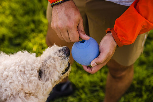 Ruffwear - Huckama