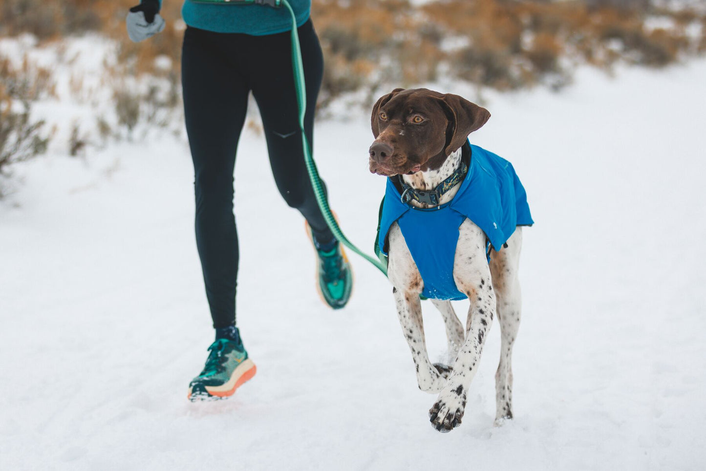 Ruffwear - Vert