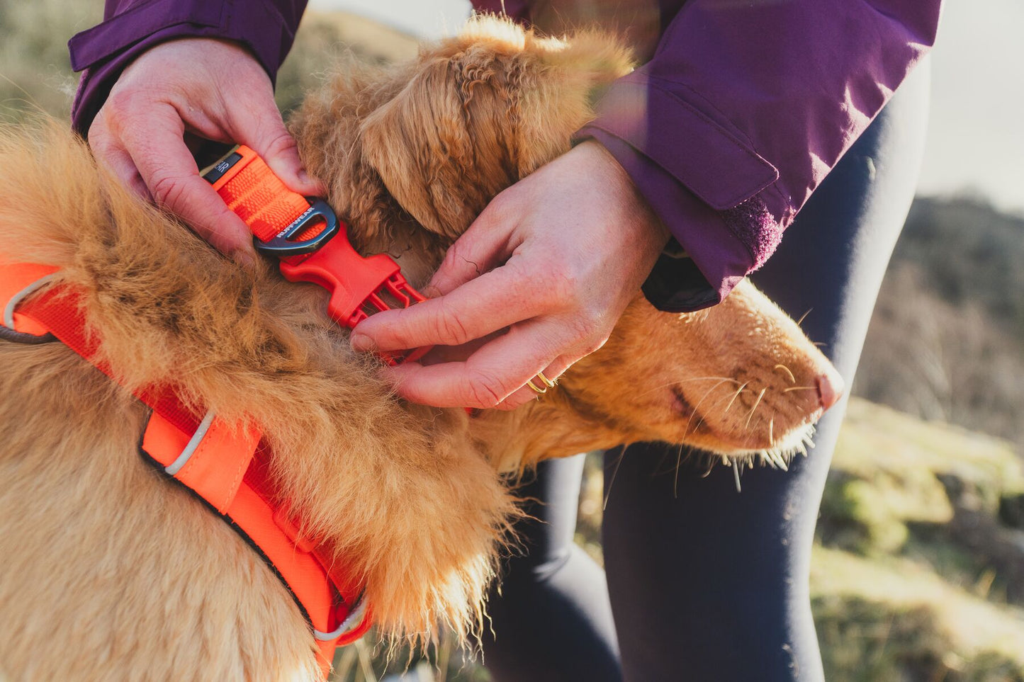 Ruffwear - Front Range Collar