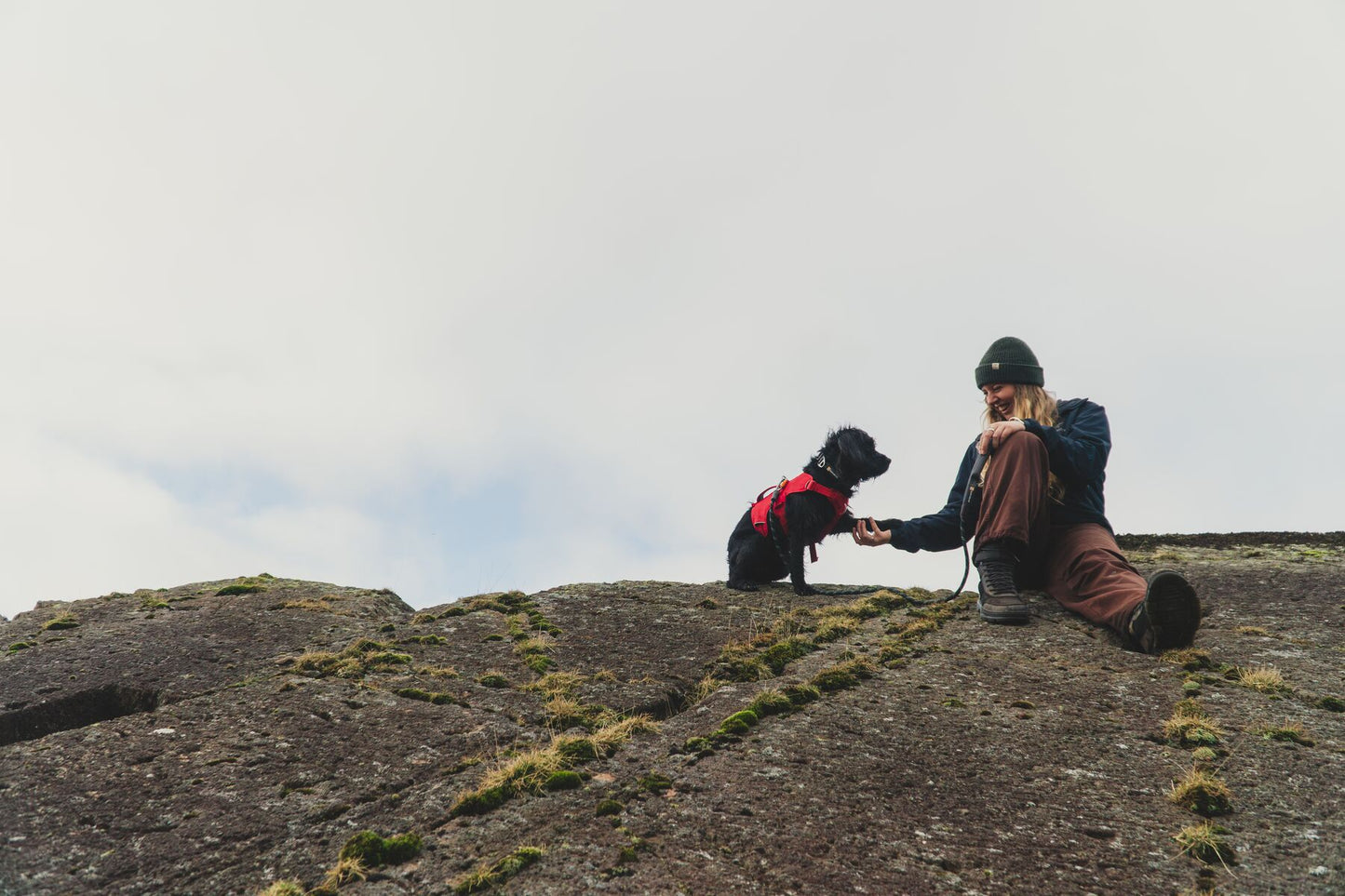 Ruffwear - Web Master Harness