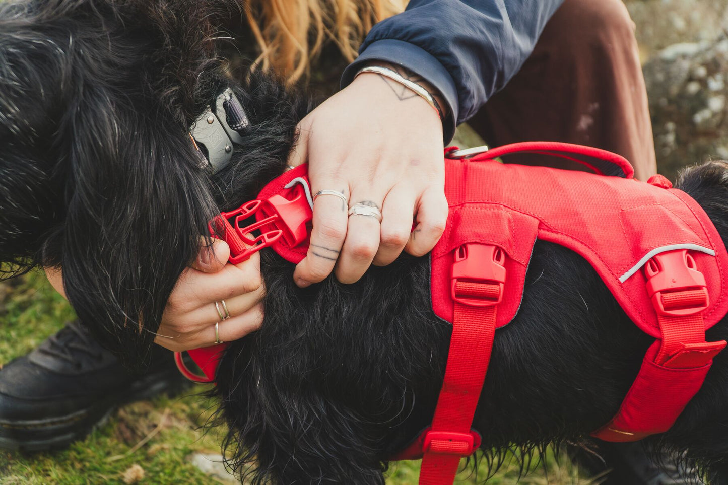 Ruffwear - Web Master Harness