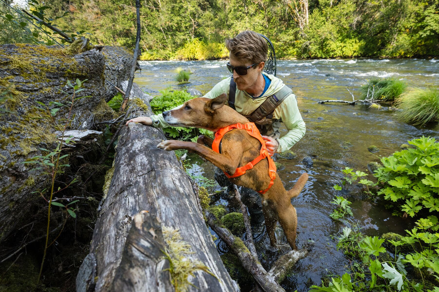 Ruffwear - Web Master Harness