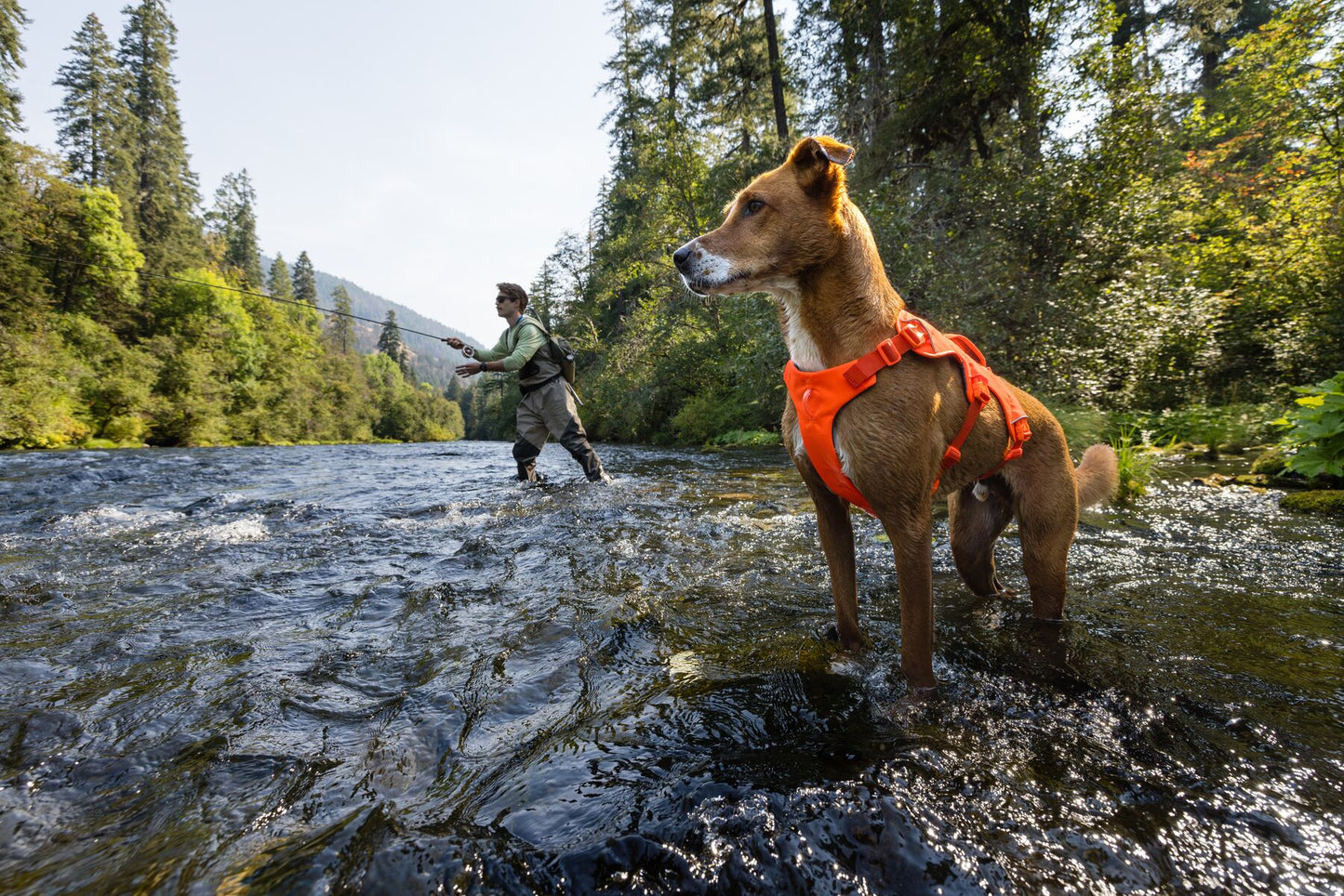 Ruffwear - Web Master Harness