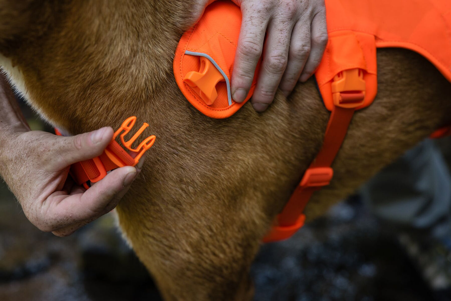 Ruffwear - Web Master Harness