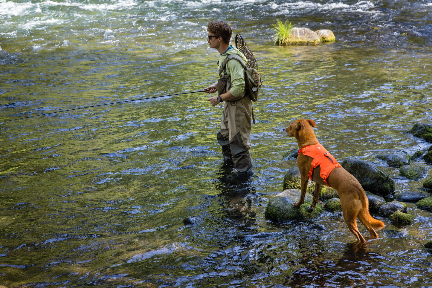 Ruffwear - Web Master Harness