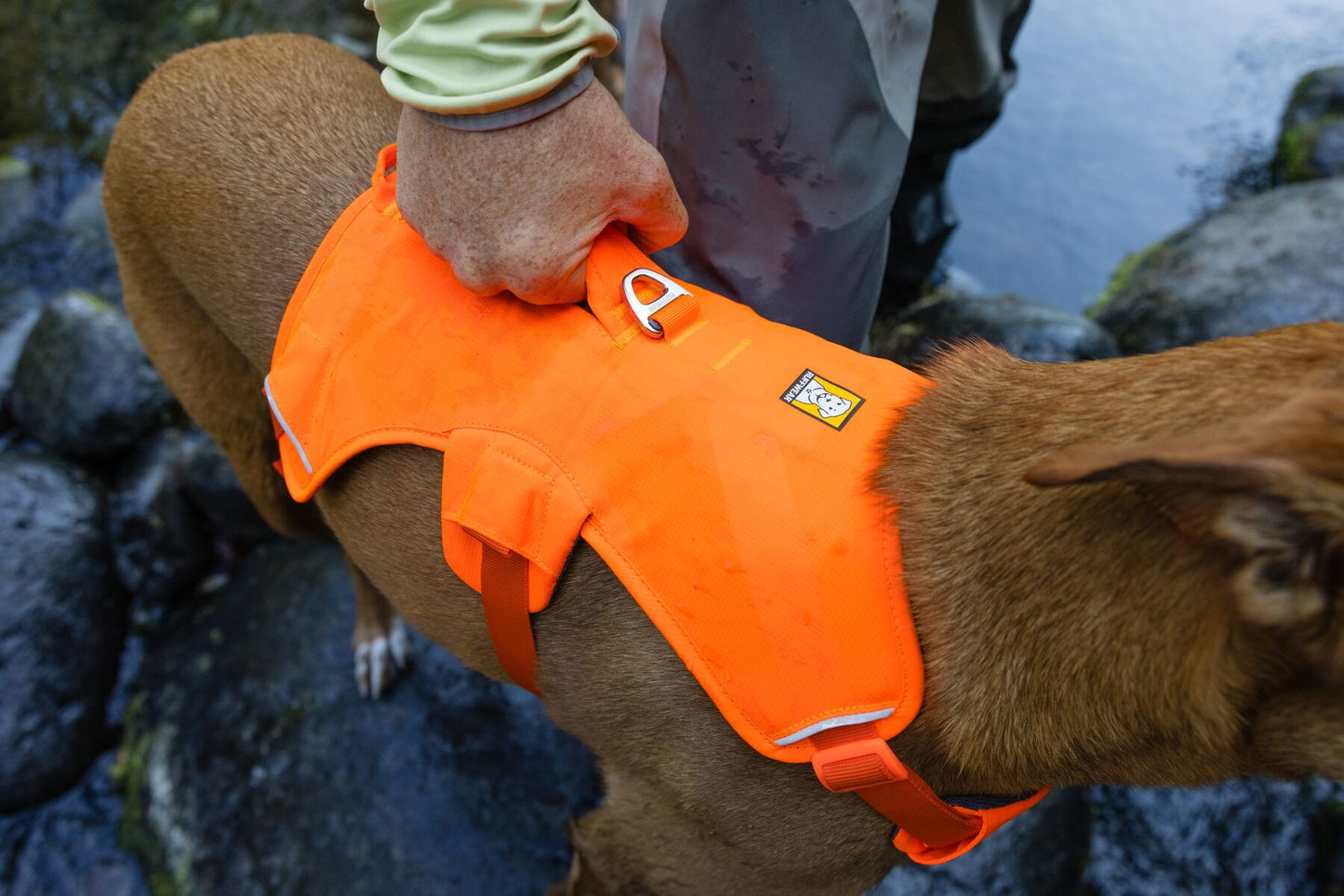 Ruffwear - Web Master Harness