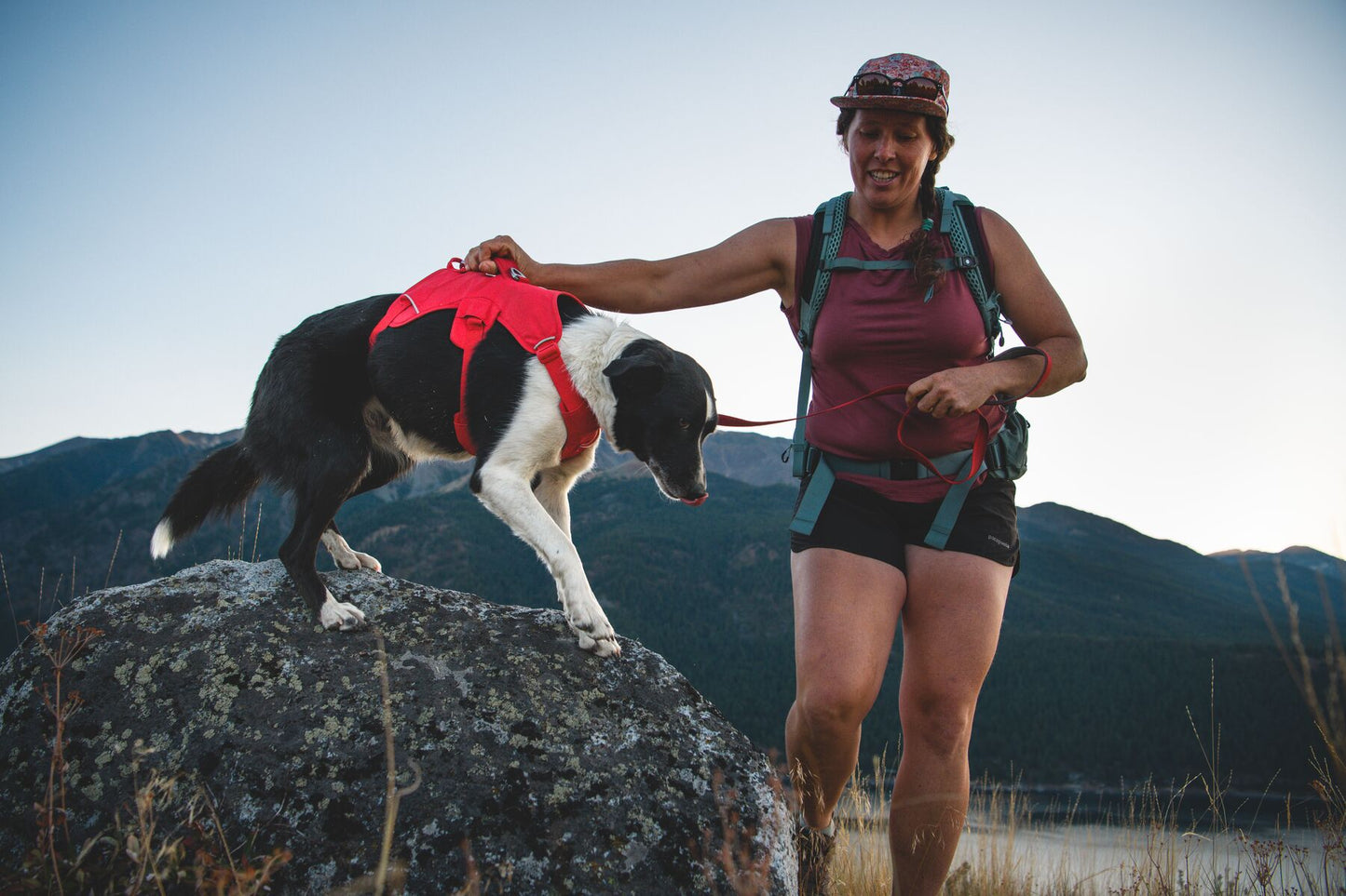 Ruffwear - Web Master Harness