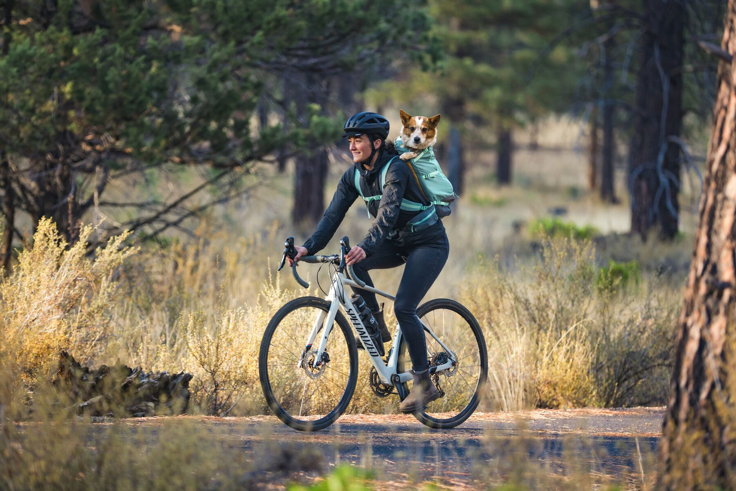 Ruffwear - Hitch Hiker Dog Carrier