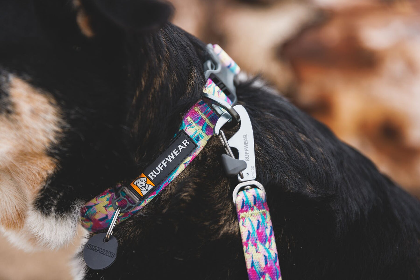 Ruffwear - Front Range Leash - Patterned Designs