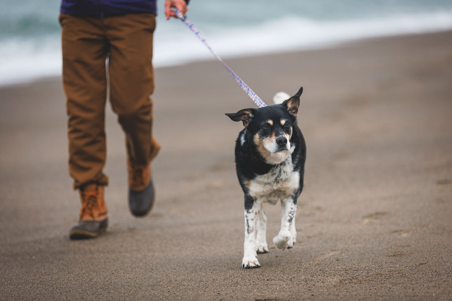 Ruffwear - Front Range Leash - Patterned Designs