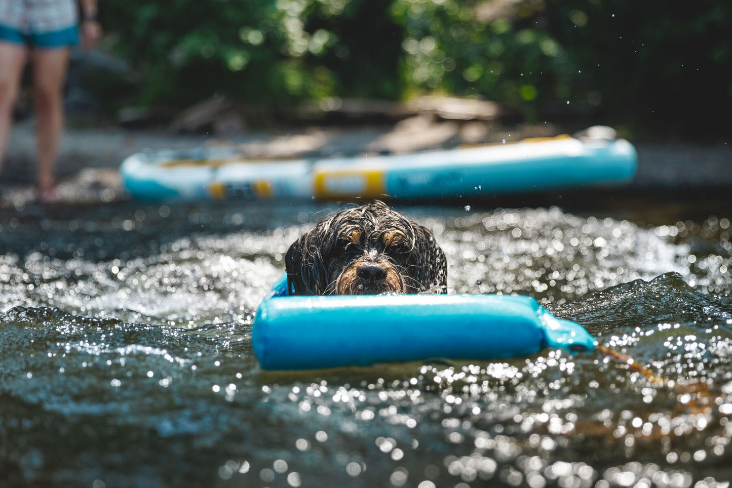 Ruffwear - Lunker