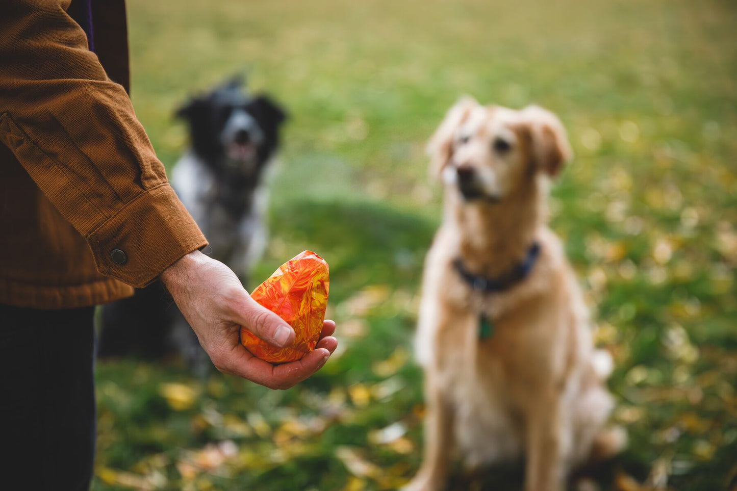 Ruffwear - Gnawt-a-Cone