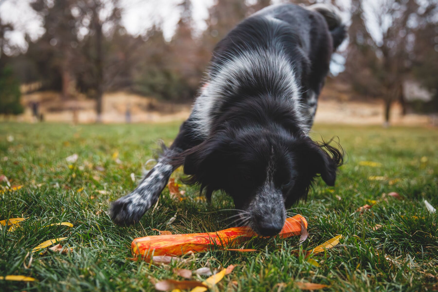 Ruffwear - Gnawt-a-Stick