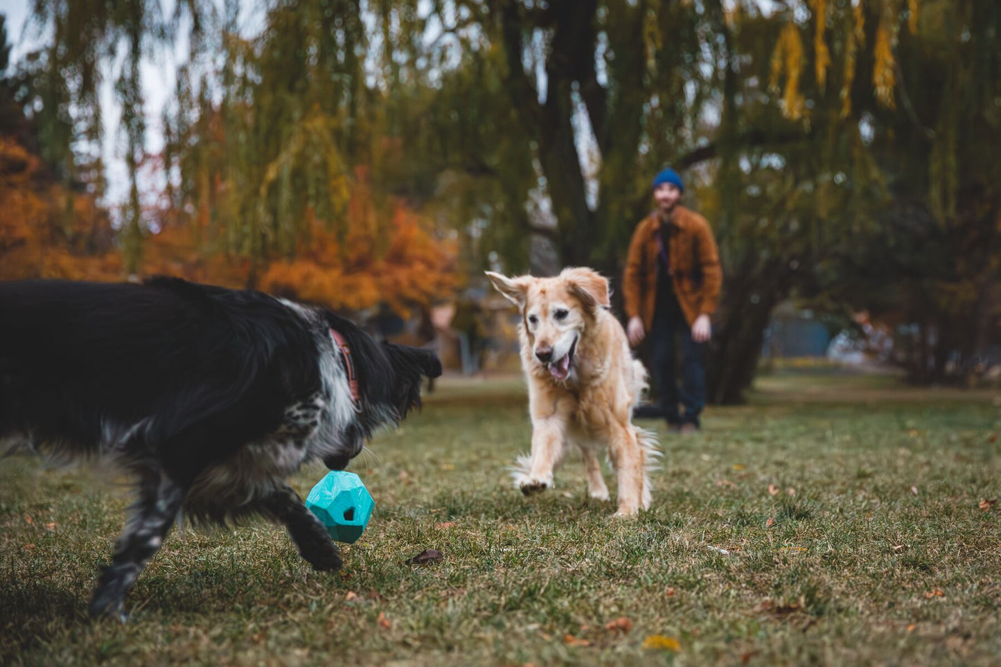 Ruffwear - Gnawt-a-Rock