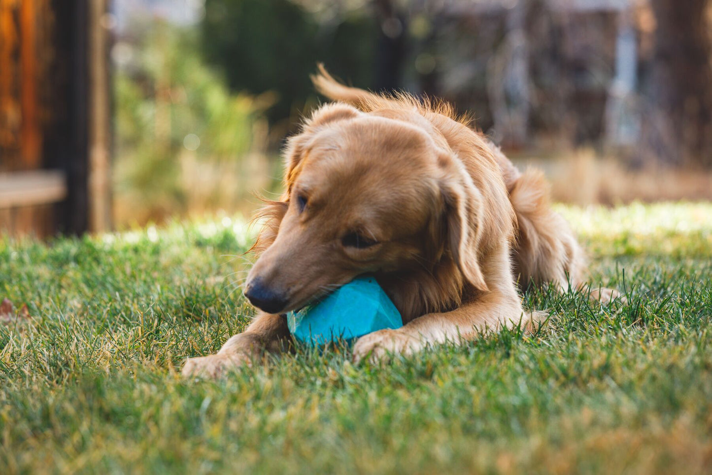 Ruffwear - Gnawt-a-Rock