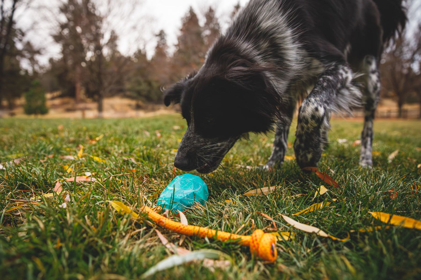 Ruffwear - Huck-a-Cone