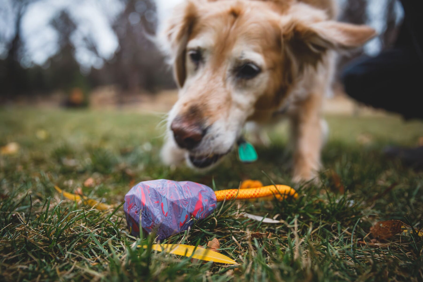 Ruffwear - Huck-a-Cone