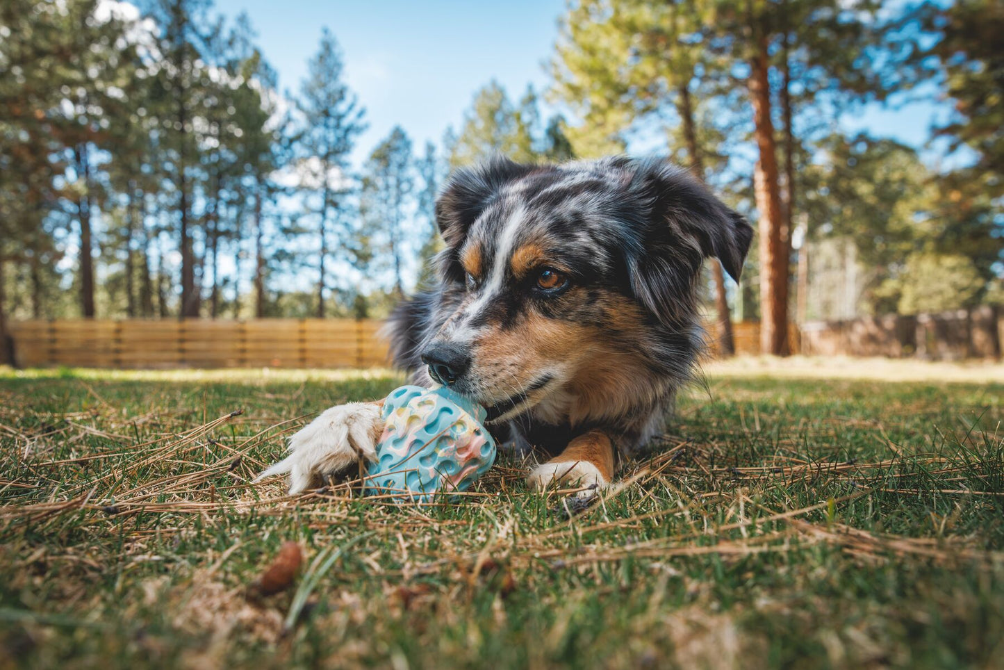 Ruffwear - Morel Mushroom - Treat Toy