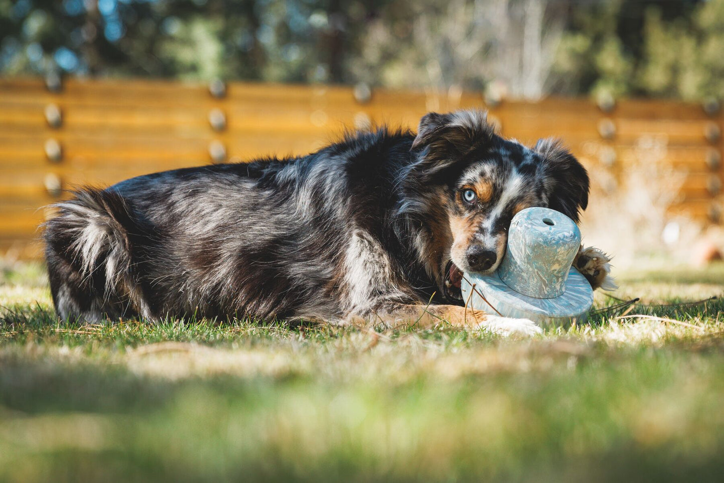 Ruffwear - Porcini Mushroom - Toy & Treat Dispenser