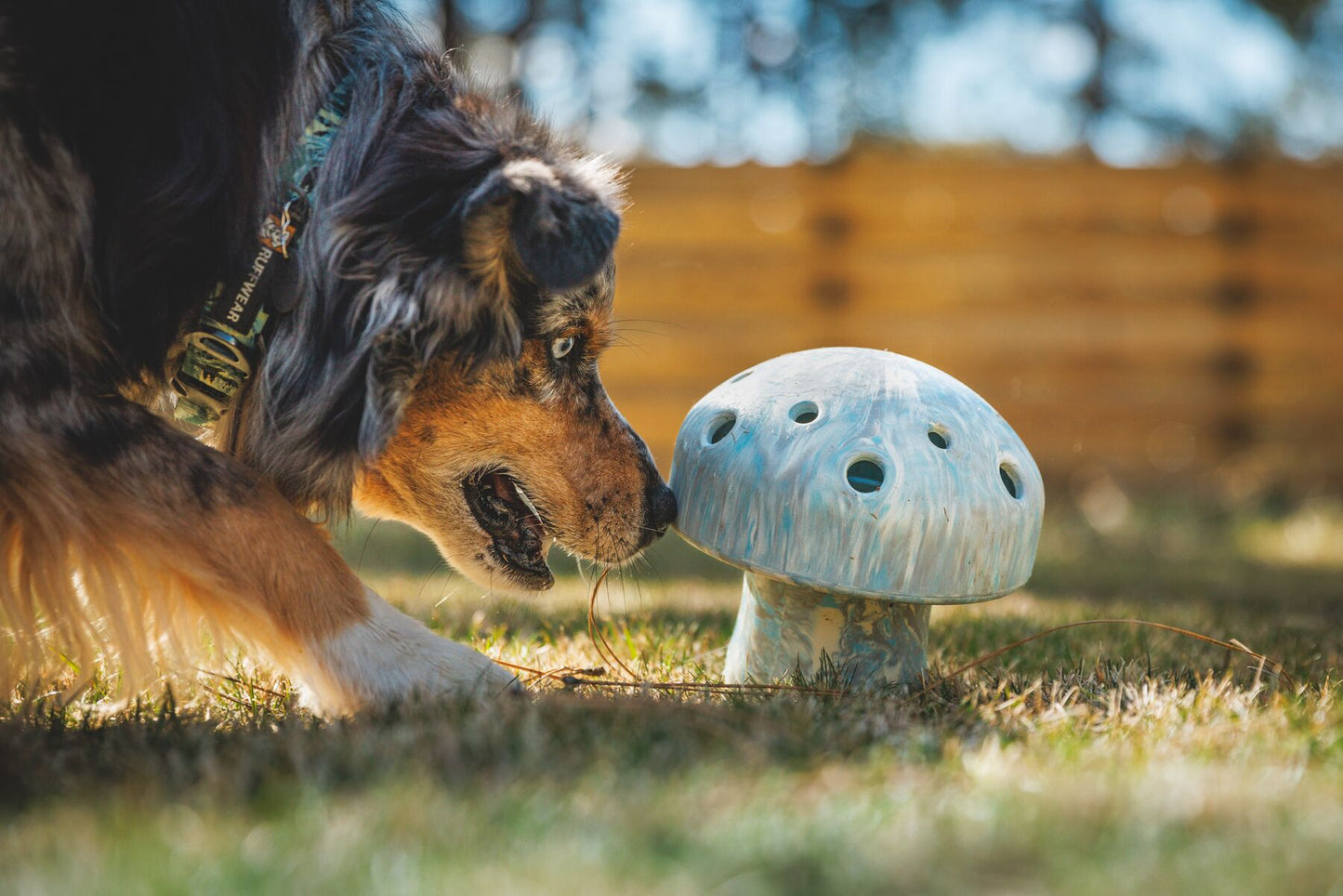 Ruffwear - Porcini Mushroom - Toy & Treat Dispenser