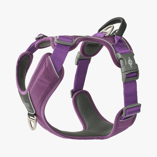 DOG Copenhagen - Comfort Walk Pro Harness *LAST ONE* SIZE S