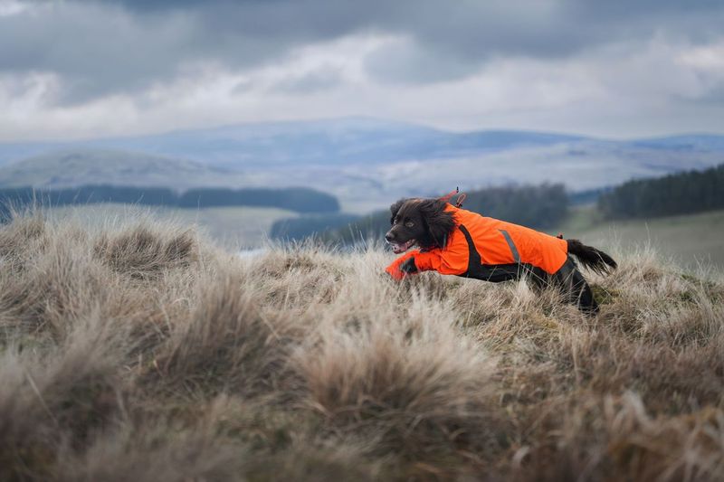 Non-stop - Fjord Overall Raincoat