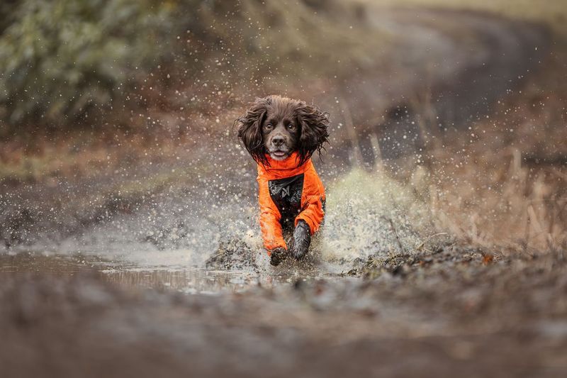 Non-stop - Fjord Overall Raincoat