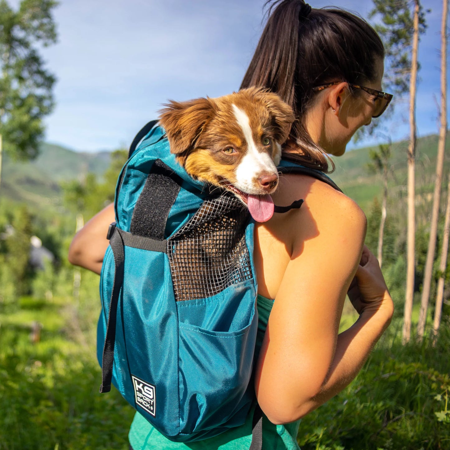 K9 Sport Sack - Trainer