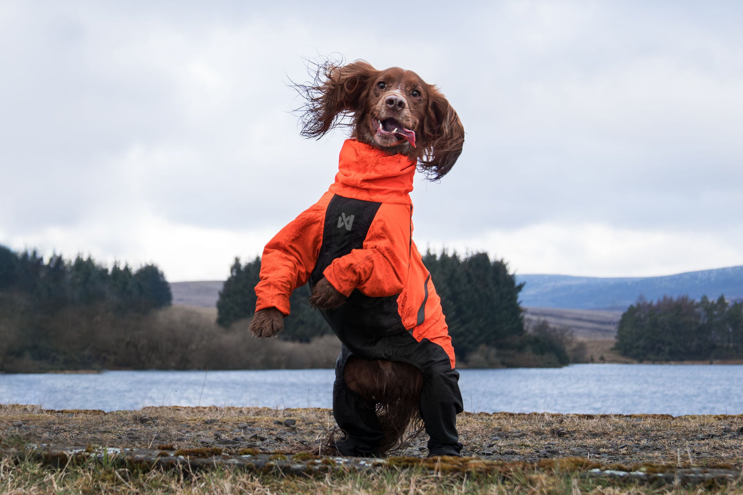 Non-stop - Fjord Overall Raincoat