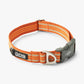 DOG Copenhagen - Urban Style Collar *FINAL PRICE DROP - NEARLY GONE*