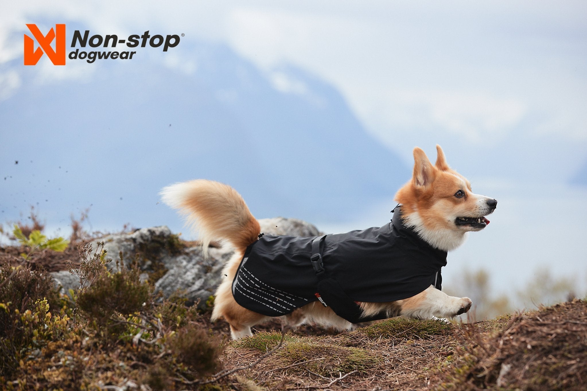 Fjord Raincoat Non stop Dogwear Mountain Dog UK