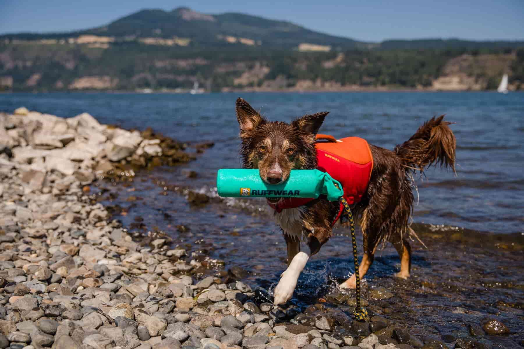 Ruffwear k9 shop float